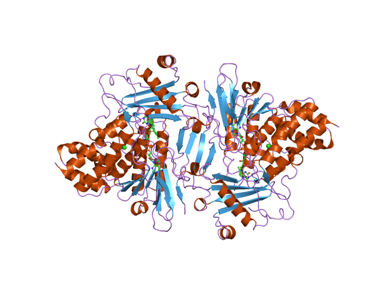 File:PDB 2c4c EBI.png