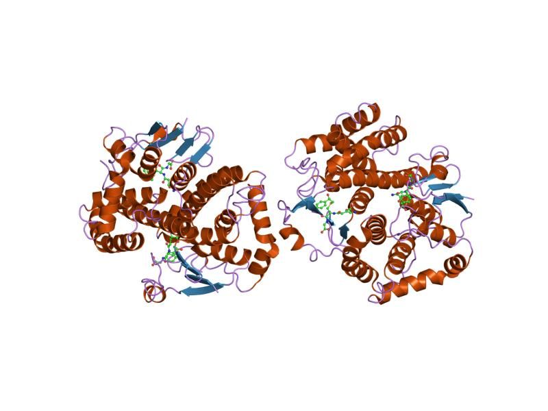 File:PDB 2c4j EBI.jpg