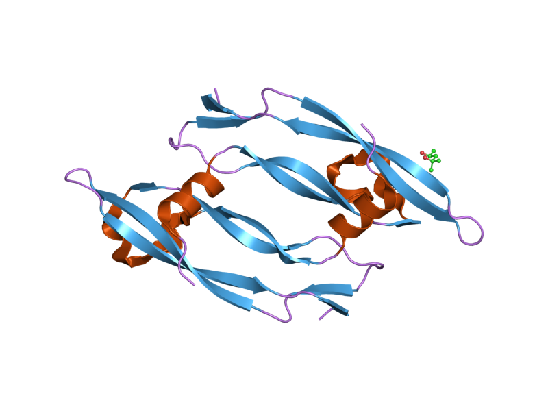 File:PDB 2c7w EBI.png