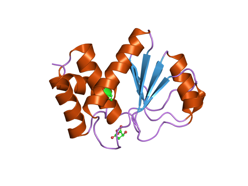 File:PDB 2img EBI.png