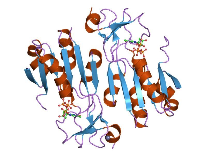 File:PDB 2orv EBI.jpg