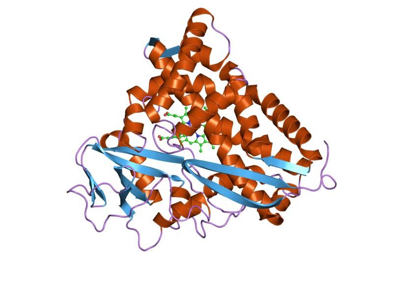 File:PDB 4cpp EBI.jpg