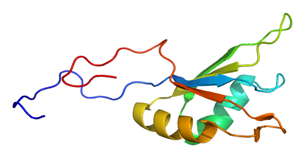 File:Protein A2BP1 PDB 2cq3.png