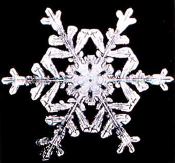 File:Snowflake8.png