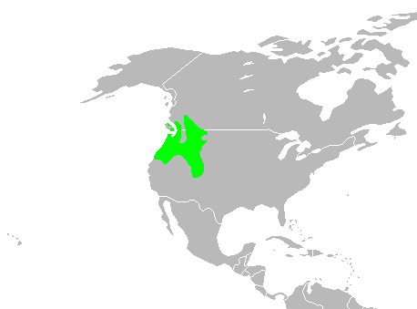 File:Tegenaria agrestis distribution.PNG