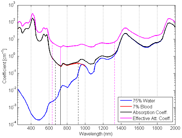 File:Veins absorption.png