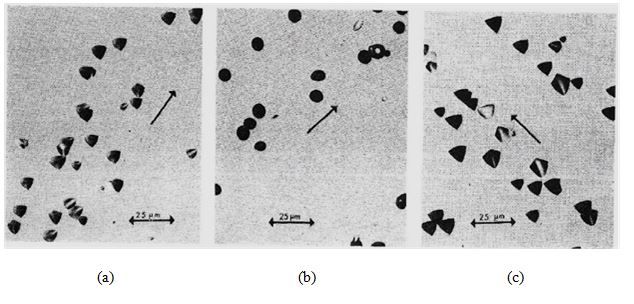 File:Wright.Etch.Fig4a.b.c.jpg