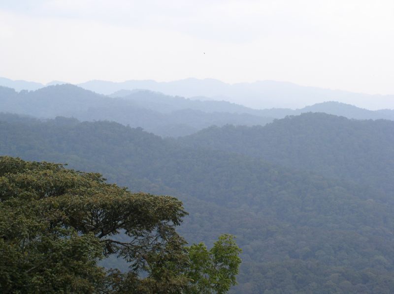 File:Bwindi mountains.jpg