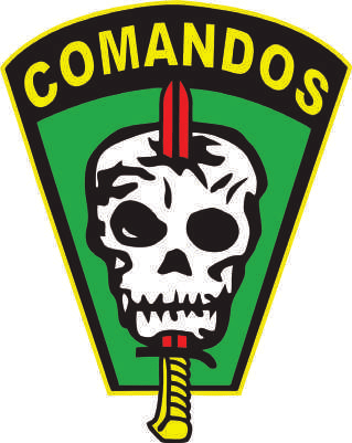 File:Comandos.png