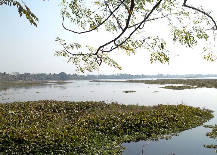 File:Motijheel Lake View murshidabad By Ansuman Bhattacharya.jpg