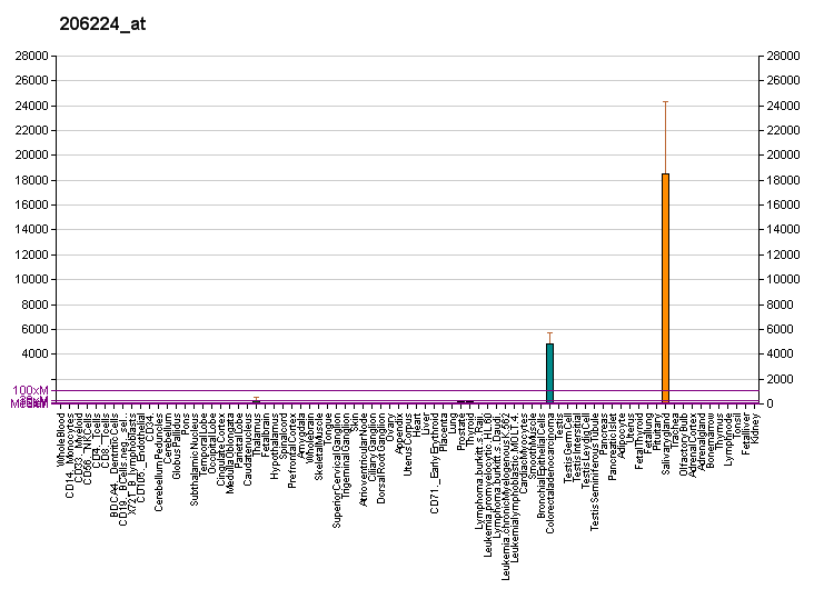 File:PBB GE CST1 206224 at fs.png