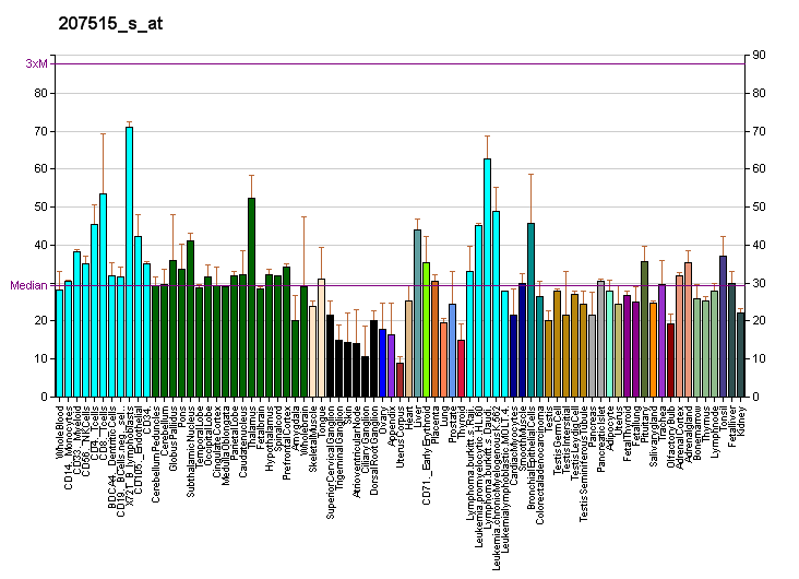 File:PBB GE POLR1C 207515 s at fs.png