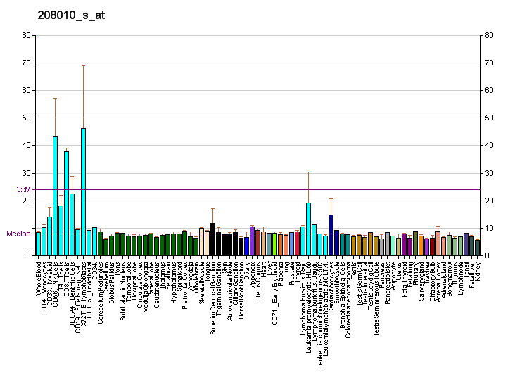 File:PBB GE PTPN22 208010 s at fs.png