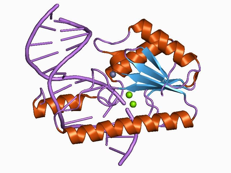 File:PDB 1cw0 EBI.jpg