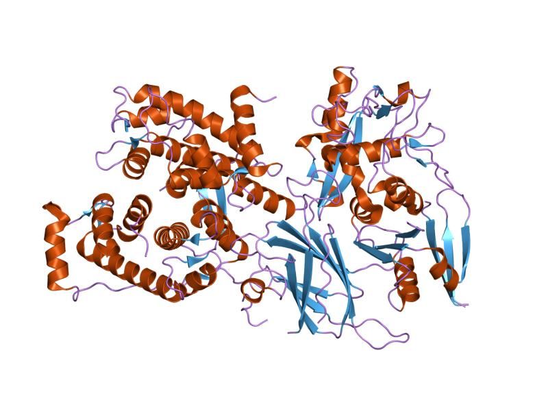 File:PDB 1df0 EBI.jpg