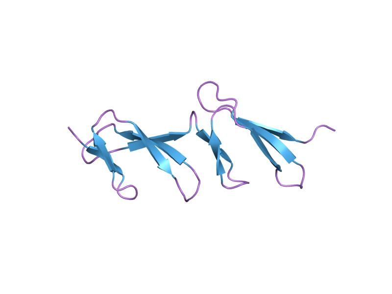 File:PDB 1fbr EBI.jpg