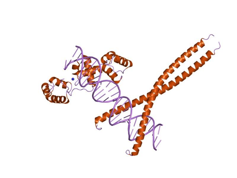 File:PDB 1h88 EBI.jpg