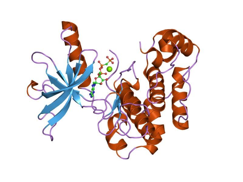 File:PDB 1i44 EBI.jpg