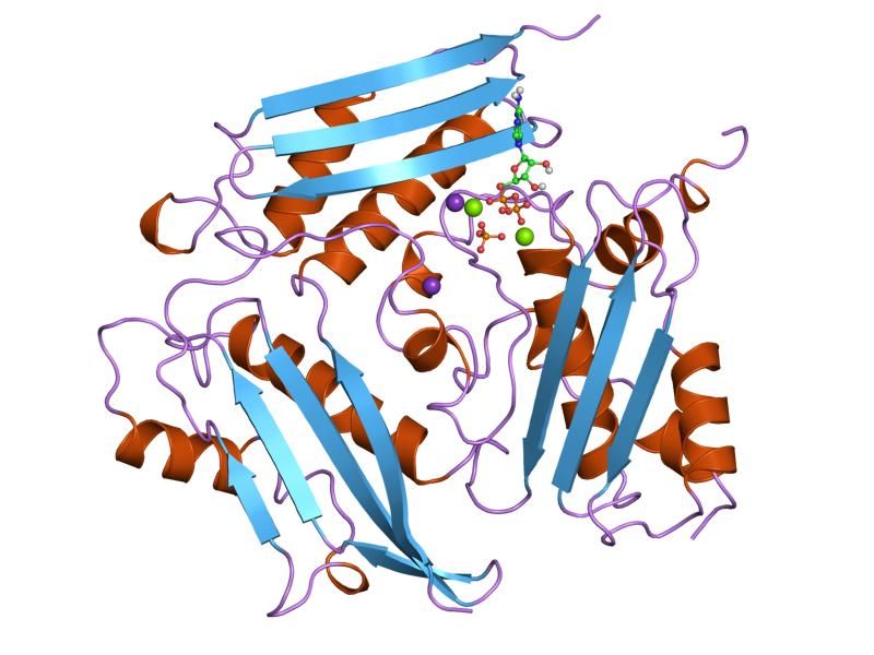 File:PDB 1mxb EBI.jpg