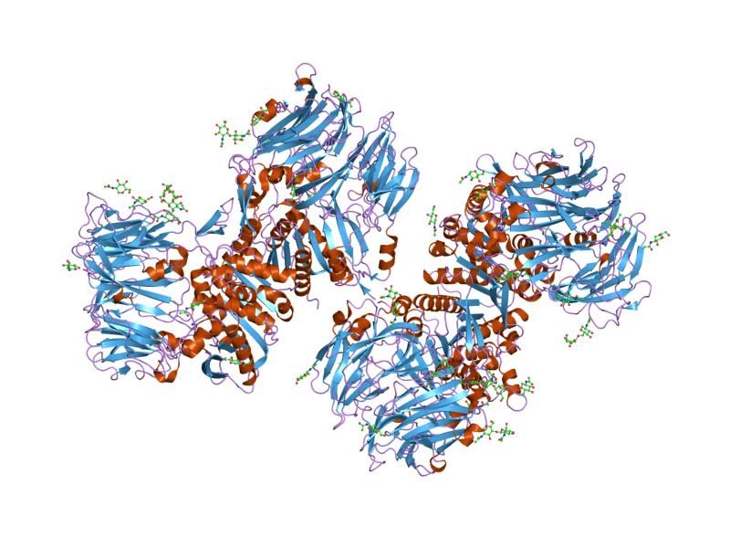 File:PDB 1r9m EBI.jpg