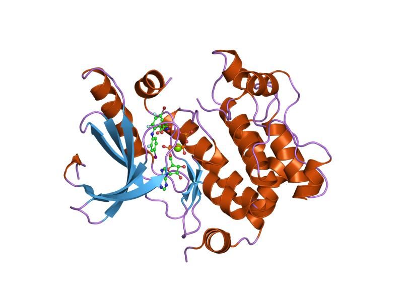 File:PDB 1s9j EBI.jpg