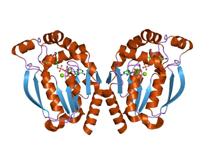 File:PDB 1uj2 EBI.jpg