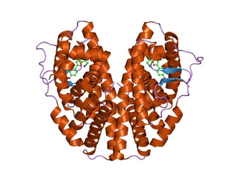 File:PDB 1x78 EBI.jpg