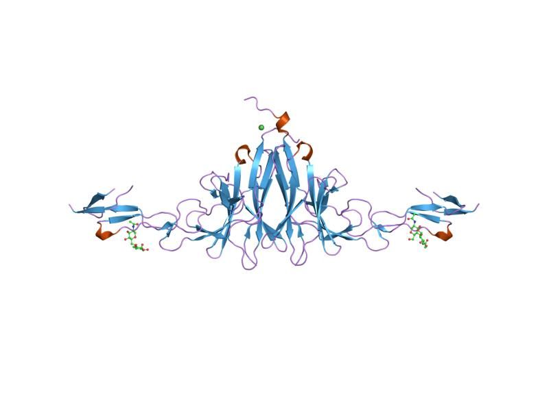 File:PDB 2aw2 EBI.jpg