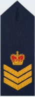 File:Senior Sergeant TASPOL.png