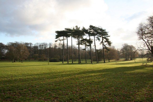 File:Weelsby Woods - geograph.org.uk - 1079017.jpg