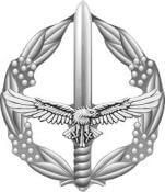 File:Air Force Ground Combat Badge.jpg