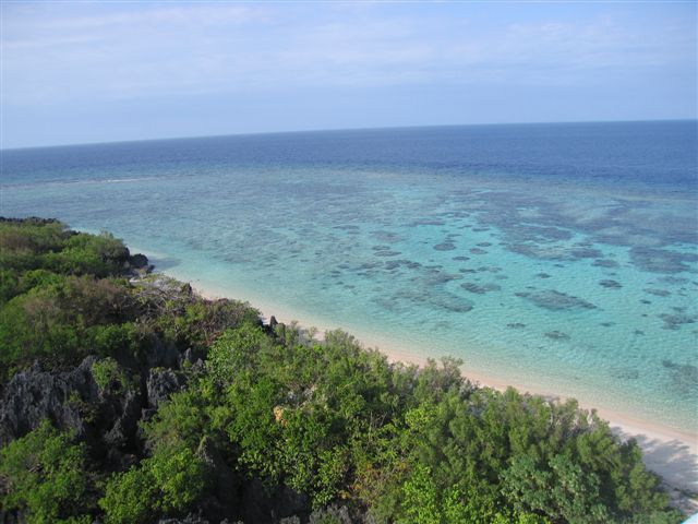 File:Apo reef.jpg