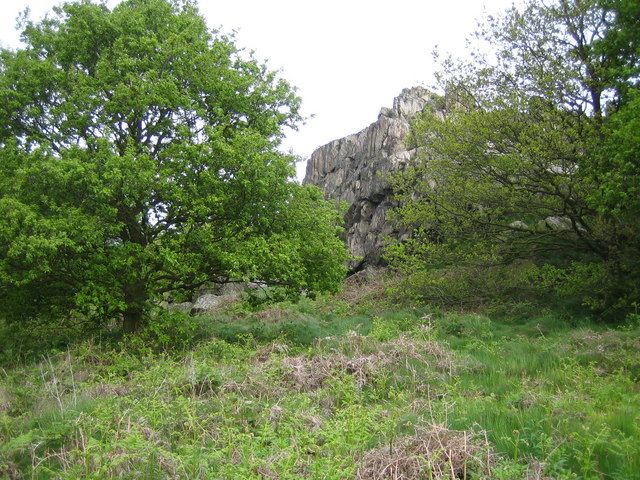 File:Beacon Hill - geograph.org.uk - 172528.jpg