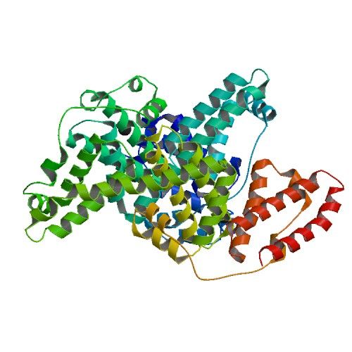 File:Bovine serum albumin 3v03 crystal structure.jpg