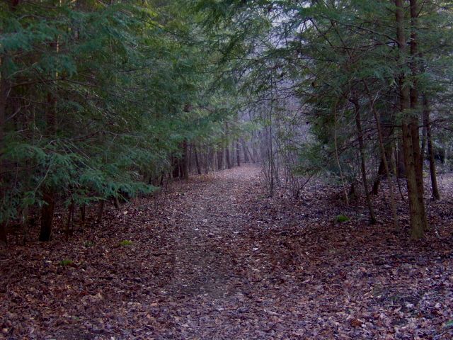 File:Caney-fork-trail-tennessee.jpg