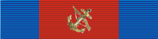 File:DSM Colombian Marine Corps.png