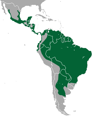 File:Jaguarundi area.png