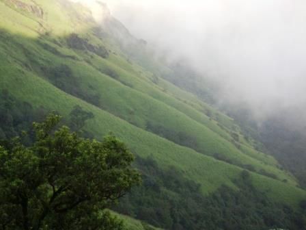 File:Kudachadri,scene2,kolur,karnataka.jpg