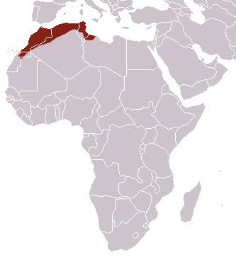 File:North African Elephant Shrew area.png