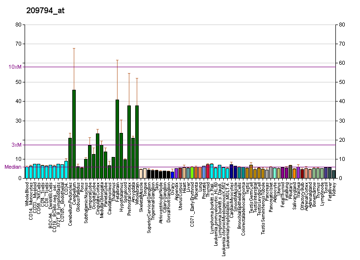 File:PBB GE SRGAP3 209794 at fs.png