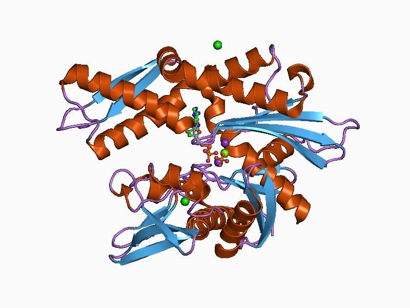 File:PDB 1bup EBI.jpg