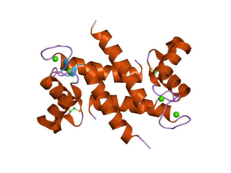 File:PDB 1k9k EBI.jpg