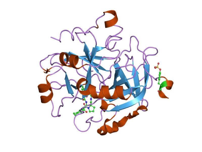 File:PDB 1nt1 EBI.jpg