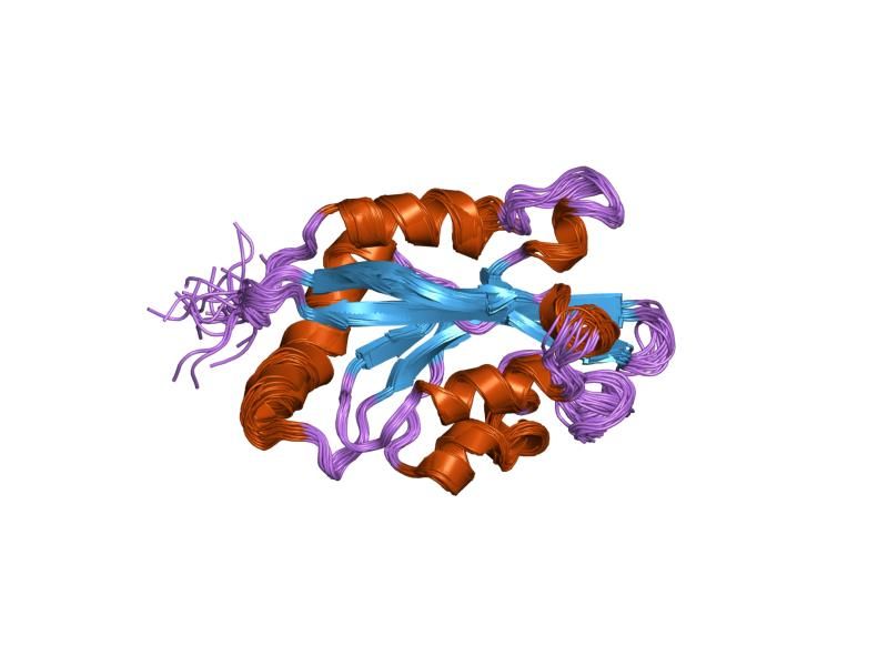 File:PDB 1q8x EBI.jpg