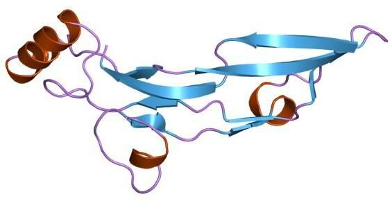 File:PDB 1tfg EBI.jpg