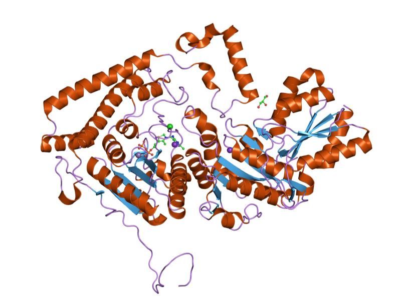 File:PDB 1x7w EBI.jpg