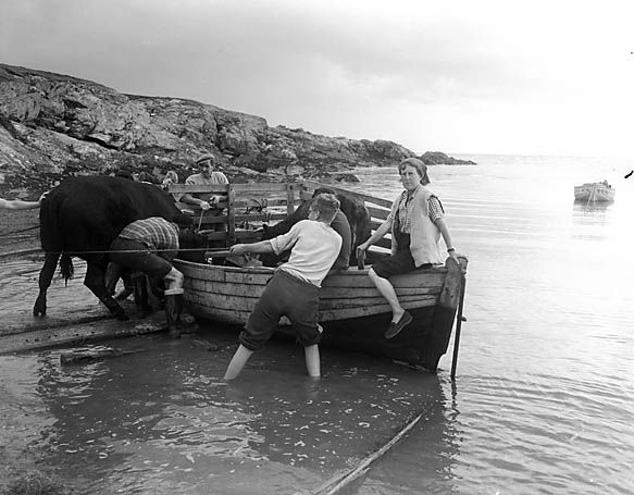 File:Pilgrimage to Bardsey Island (5099145559).jpg