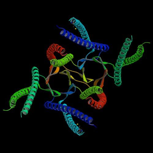 File:Prefoldin 3D Structure.jpg