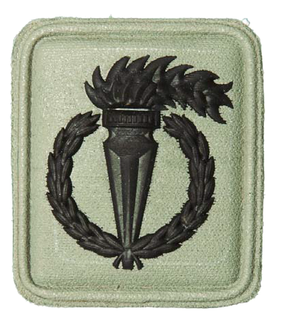 File:SANDF Qualification Pathfinder badge embossed.png