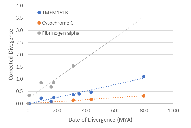 File:TMEM151B evolution rate graph.png